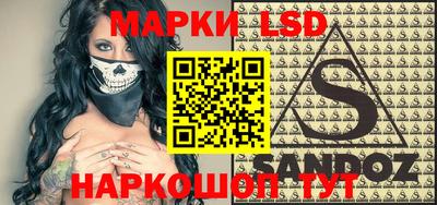 стаф Гатчина