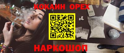 стаф Гатчина
