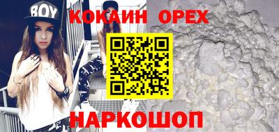 стаф Гатчина