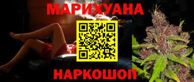 стаф Гатчина