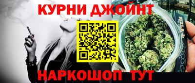 стаф Гатчина