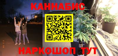стаф Гатчина