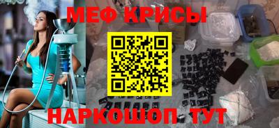 стаф Гатчина
