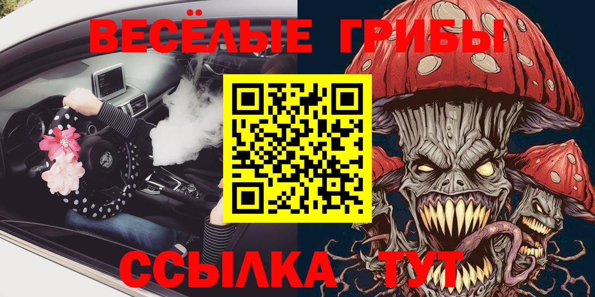 Буйнакск  Псилоцибиновые грибы прущие грибы  Вход с VPN 