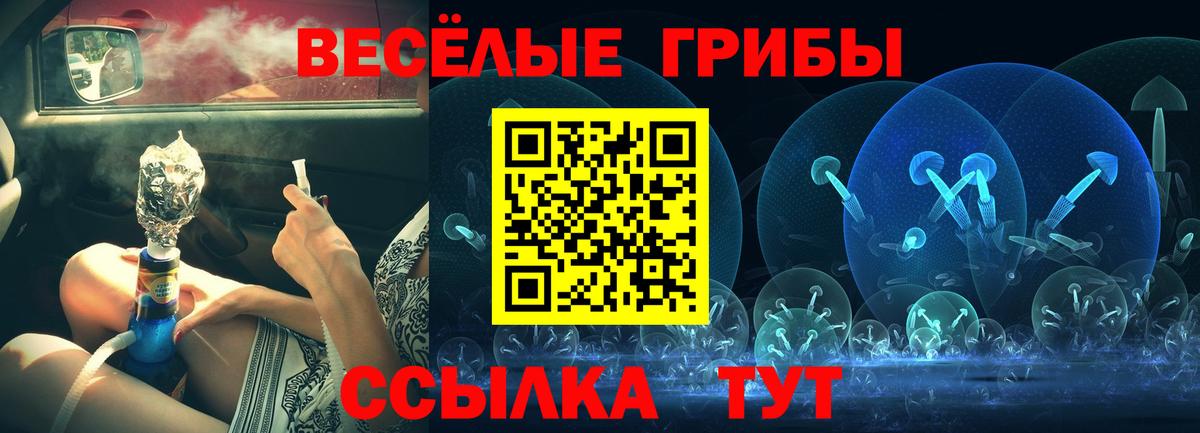 Галлюциногенные грибы мицелий Буйнакск